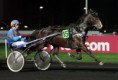 /album/galerie-de-photos-nos-chevaux/bandit-du-coudou-dec-2015-7-jpg/